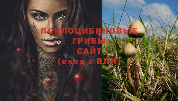 прущая мука Абаза
